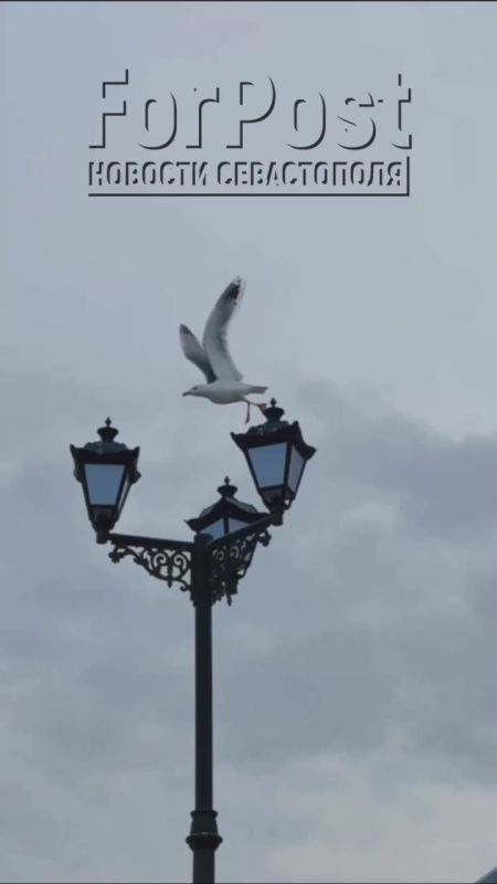 ����������� � ����������� ������� �������������, �� �������� ���� ��� � ����� ������