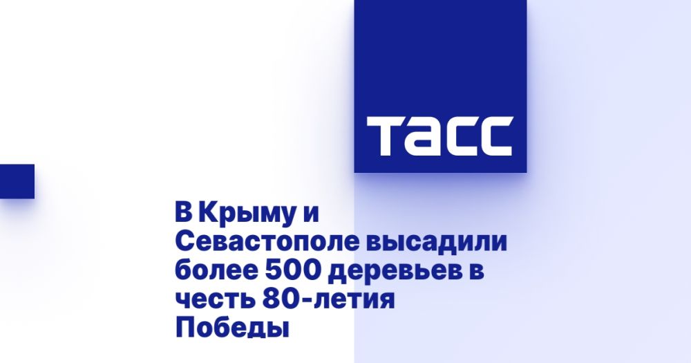 � ����� � ����������� �������� ����� 500 �������� � ����� 80-����� ������