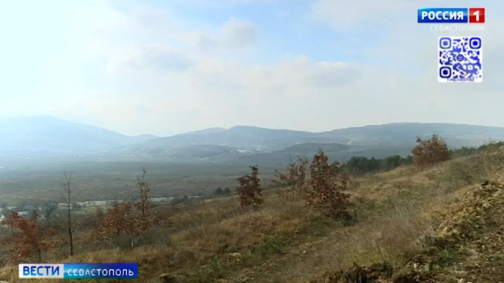 ����� �����������. ������ 9:30. 19.03.2025
