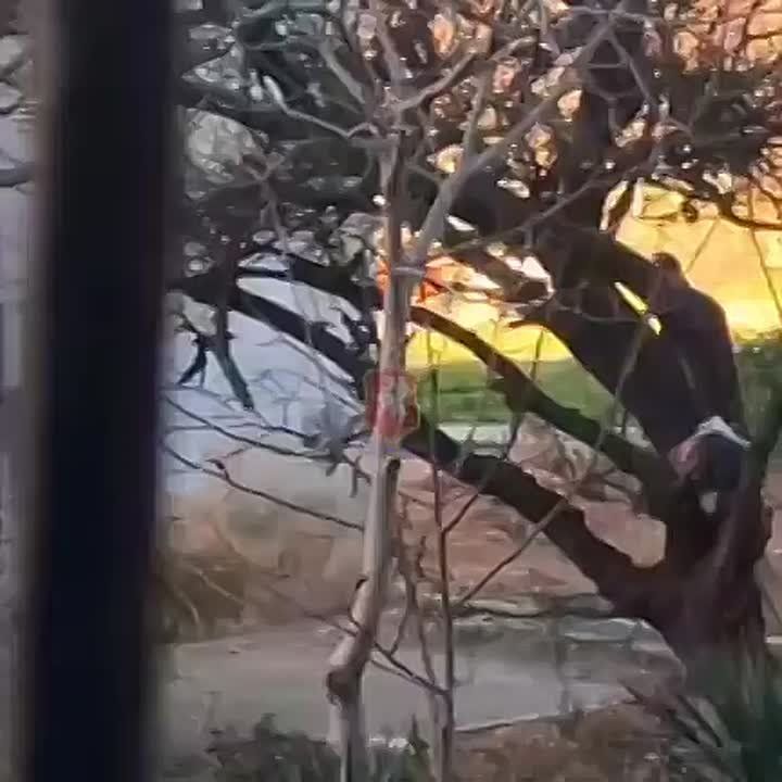 � �������� � ����� ���� � ������������� �������� � ������: � ����������� ������ ������� ������ ��� ���������� �� ��������