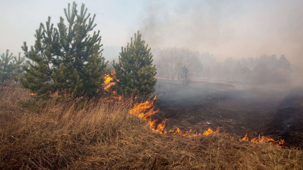 Пожароопасный сезон в Севастополе введут с 1 апреля