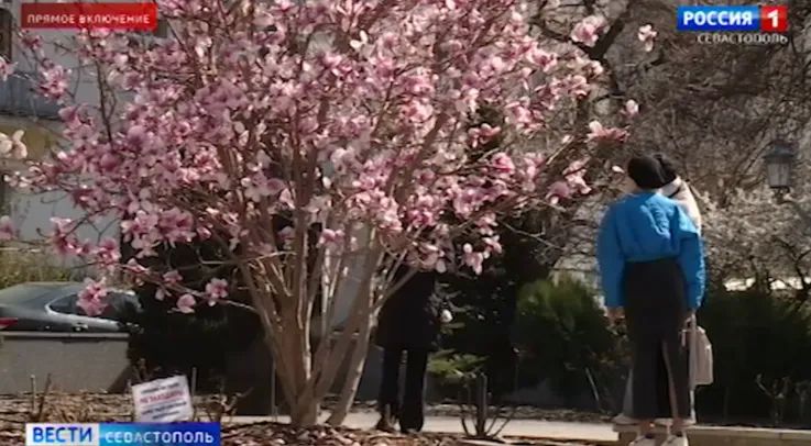 ��� ���� ����� ��������� �������� ������� � ��� ��� �������������?