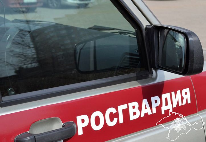 � ����������� ������������ ��������� �������������� � ��������� �������� �������
