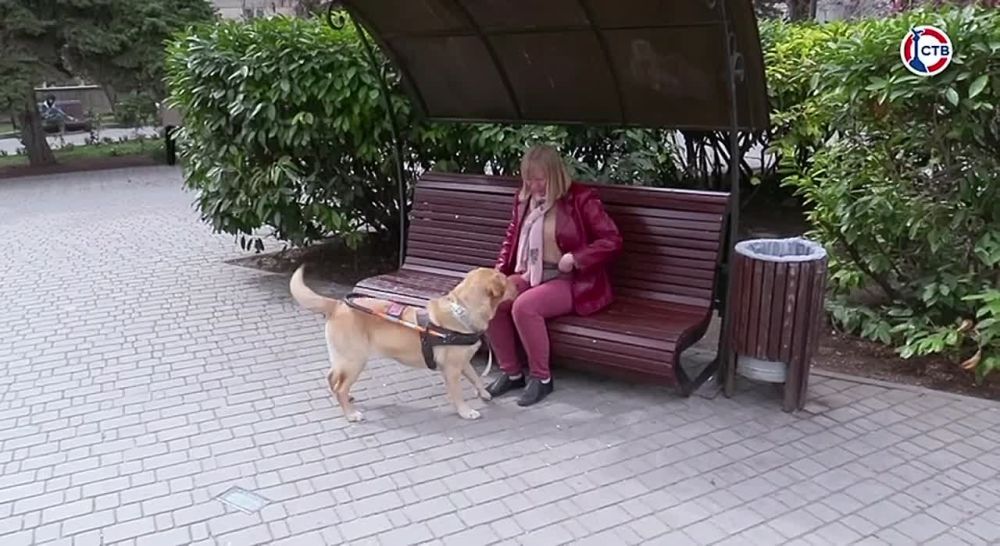 � ��������������� �������� ������ ��������� ������ ������-���������
