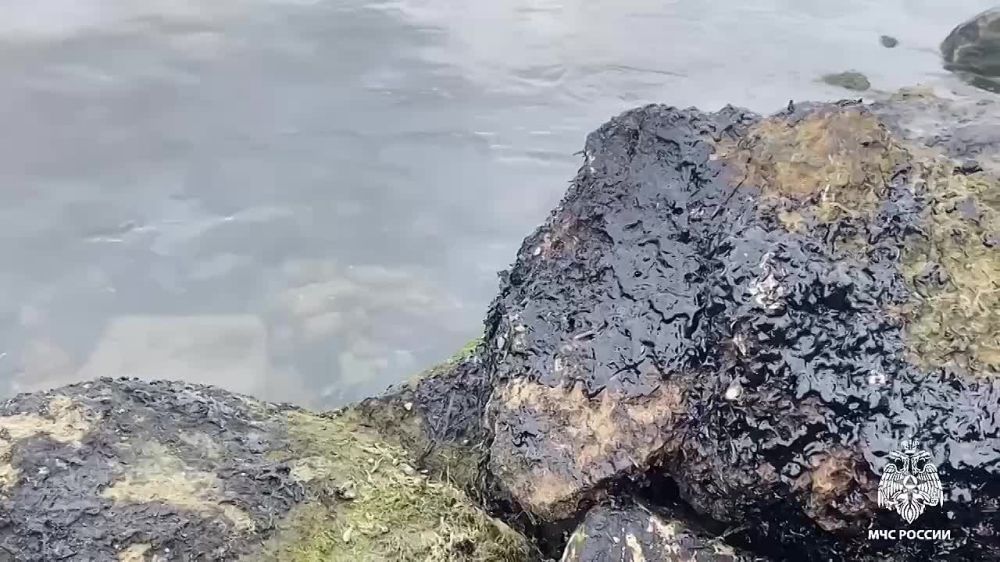 ��� ������ ���������� ������� �� �������������� ���������� ������