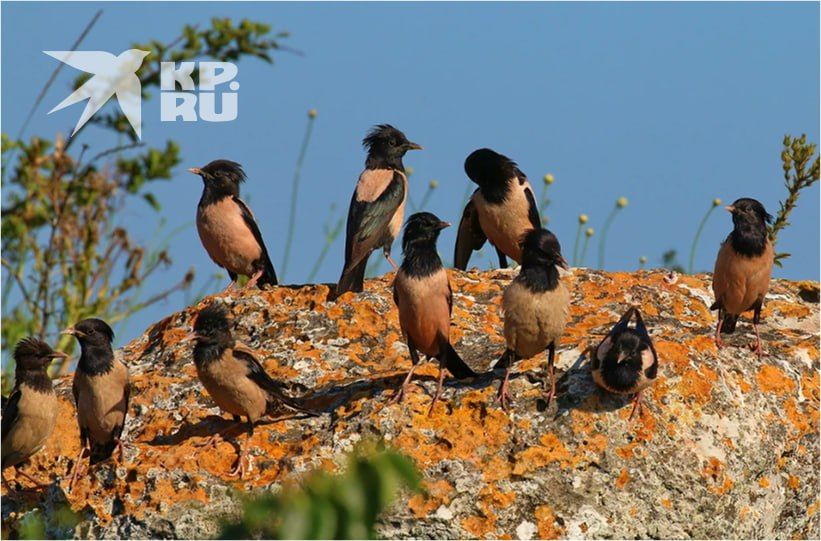 1 ������ �� ���� ���� �������� ���� ����: � ���� ���� ������� ����� ����������� ���� � ������ ����
