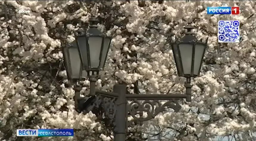 ��������������, ���������� ���������, �������� �� �������, �� ������������ ��������