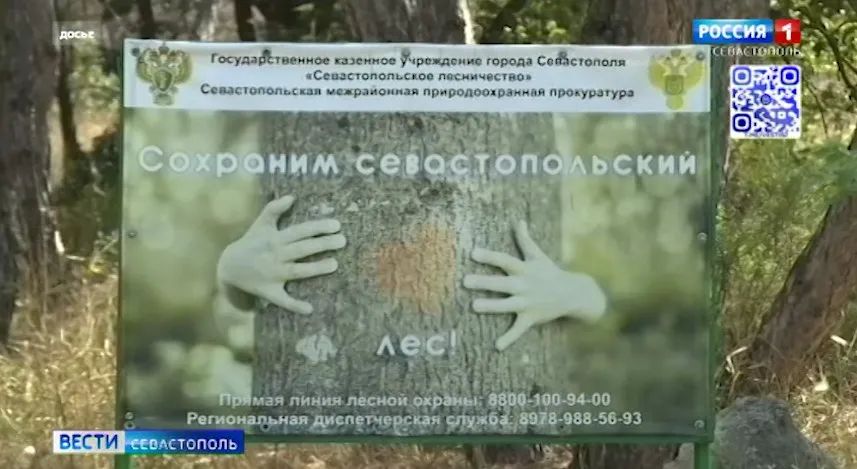 � ��������������� ����� ��������� ����� ������ � �������� �������� ������������