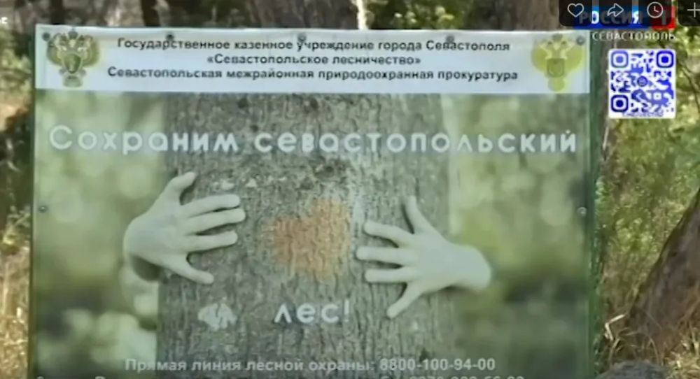 ����� �����������. ������ 09.30 �� 10.04.2025