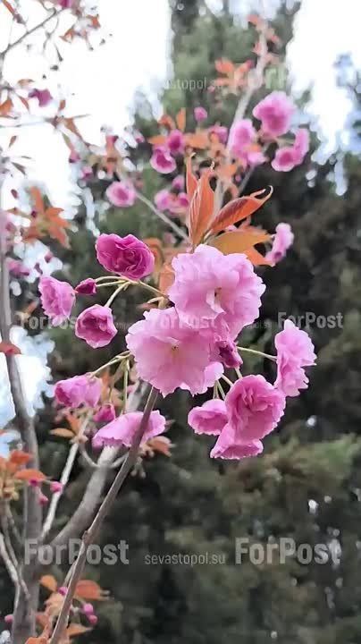 ������ ������ �������� � �������� �����