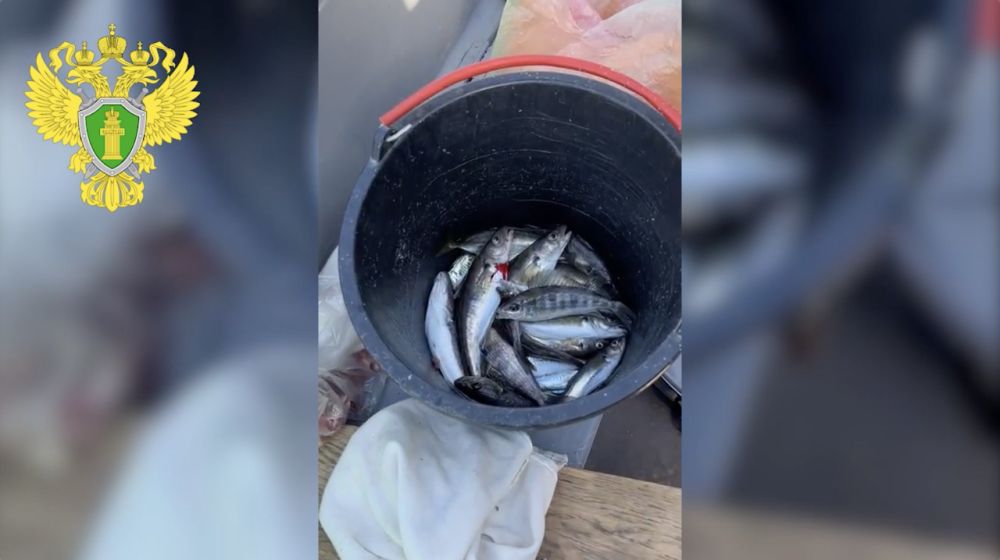 � ��������� ���� ���� ��������� ����������� ����