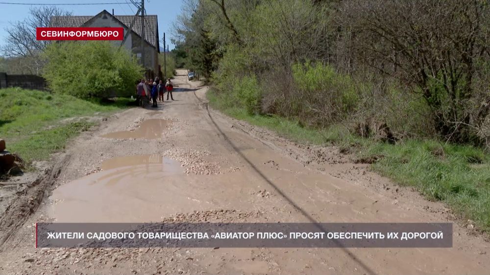 Жители садового товарищества «Авиатор Плюс» просят обеспечить их дорогой