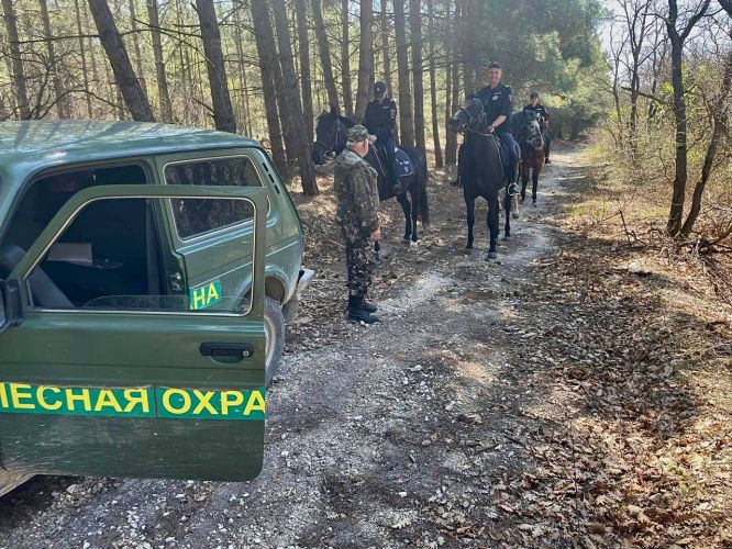 � ����������� ������� �������� �� ����������� ������ �������� ������������ � �����