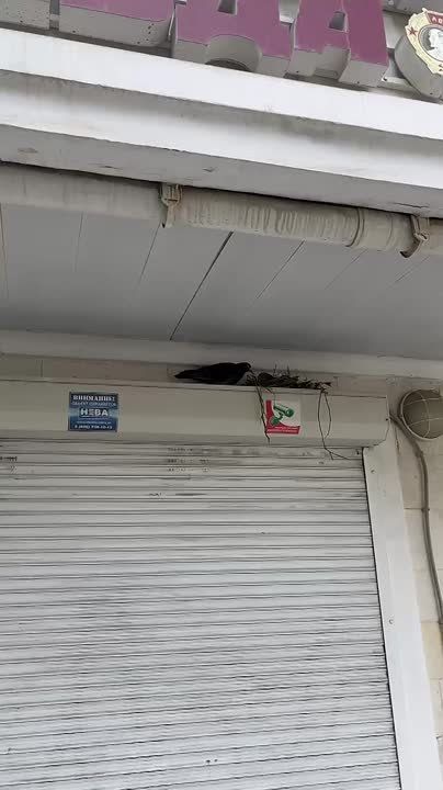 ����� �������: ��� ������ �������� ��-����������� ���������� ��������� �����