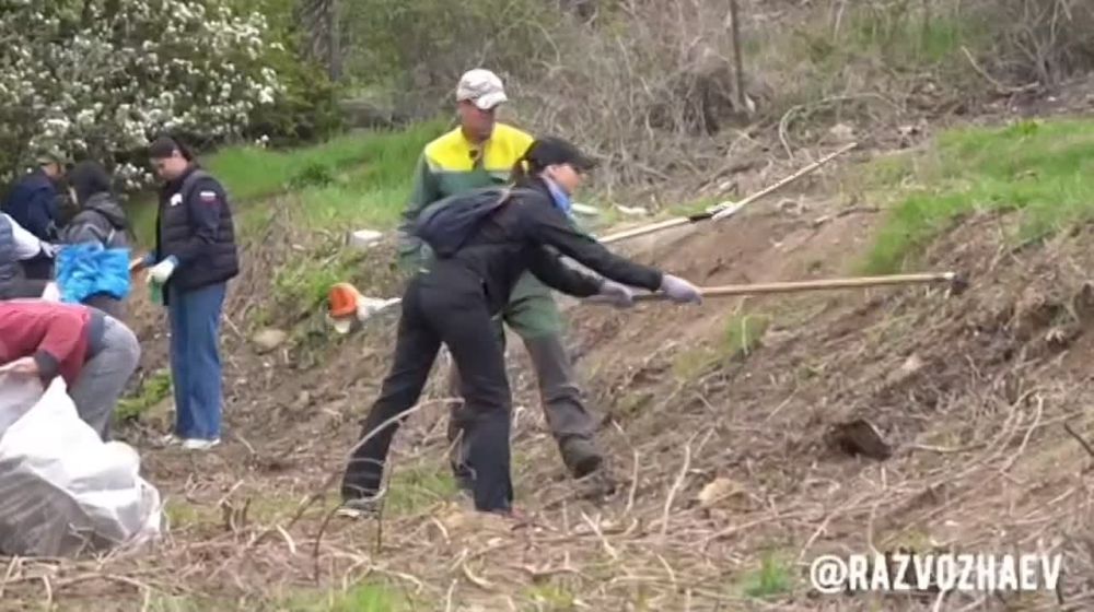 Видео дня: в Севастополе прошел третий весенний общегородской субботник