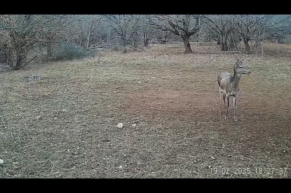 ���� ����� � �������� ����������� ������������ ��������� �������� � �������� ������ ����������� �������� ����� � ������, ��� �������� ���������������� ���� �������������, ��������� � ����� �����������