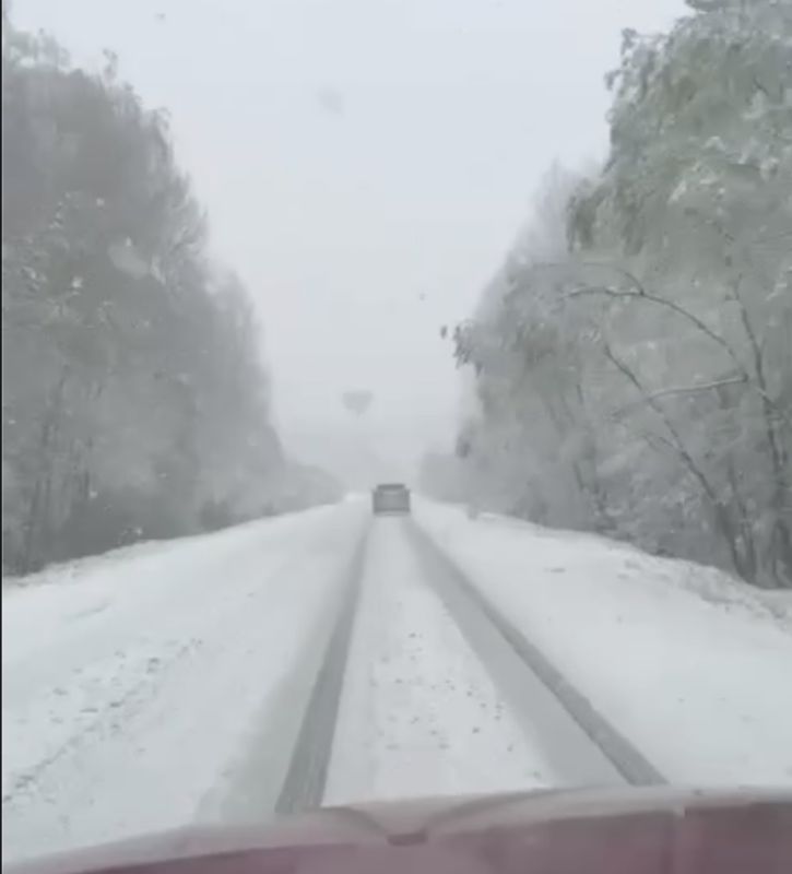 ���� ����� � ����������� � �������� ����� � �����