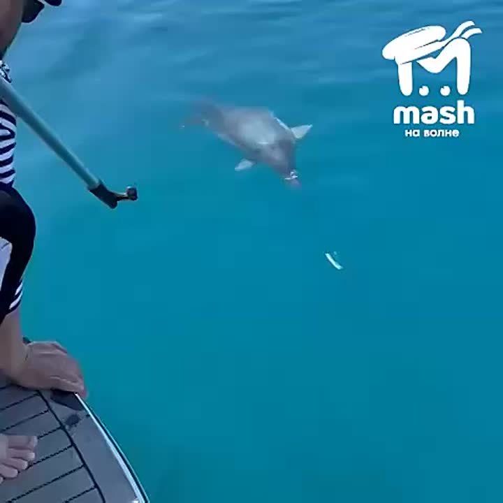�������� �� ���������� ������ � ������� ����� � ������� ���������