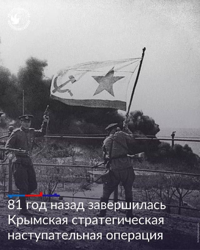  81      ,         