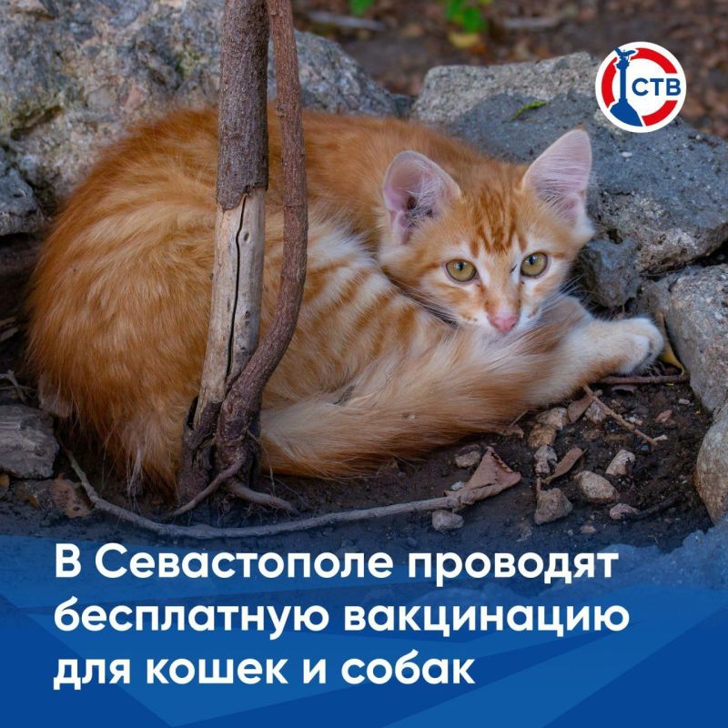 ������������ ������� ���������� ����� � ����� � ���������