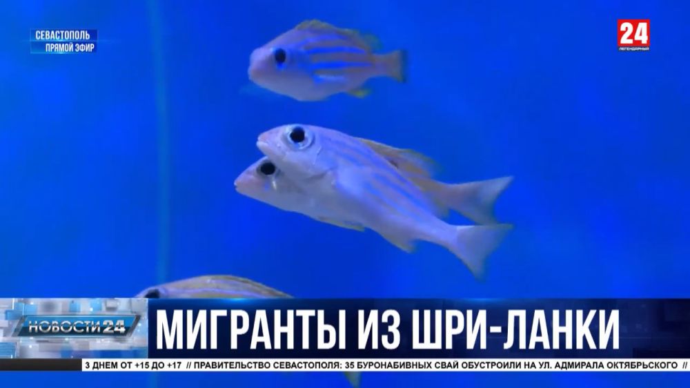 ������ 150 ������ ������� �������� ��������� ��������� ���������������� ���������