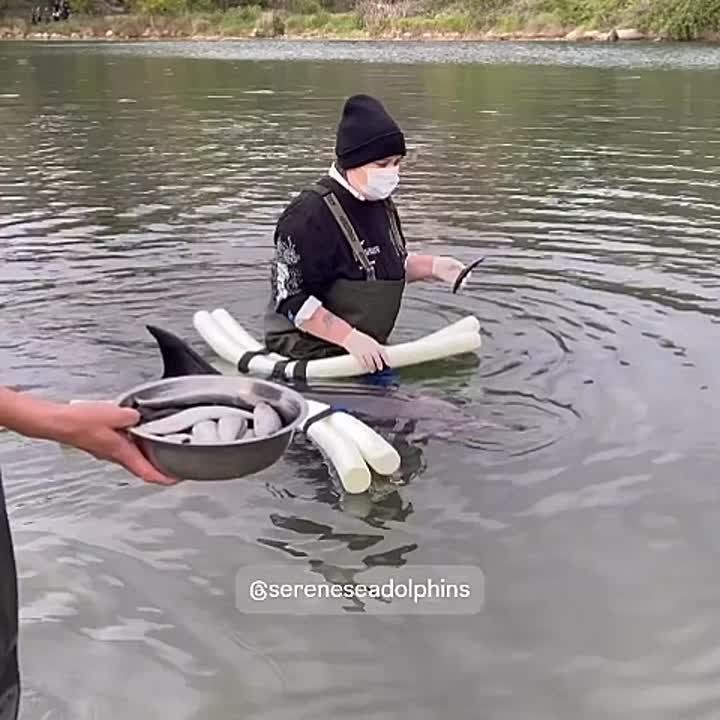 ����� ���� ������� ���������: ��������� ����, �� ������ ��� �����