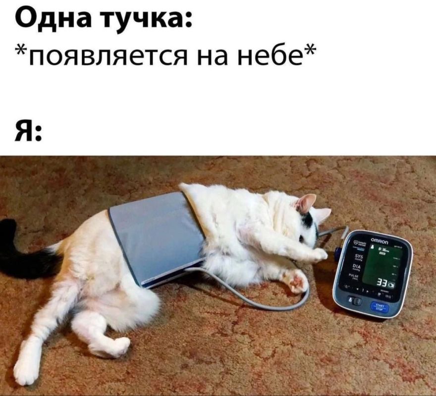 ��������� ���� � 19 �� 25 ��� 2025: ��� ��� ���?