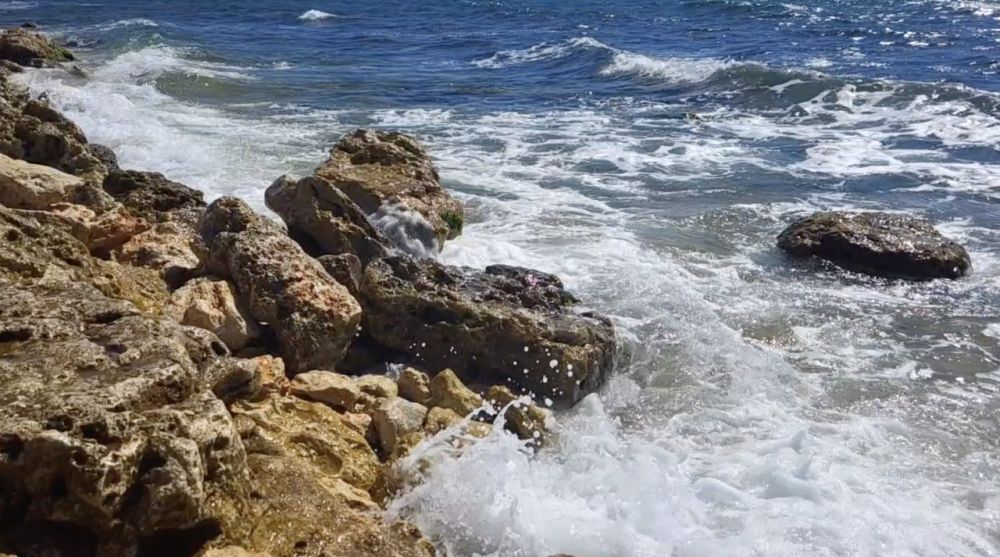 ��� ׸���� ����� ����� ���� ����������� ���