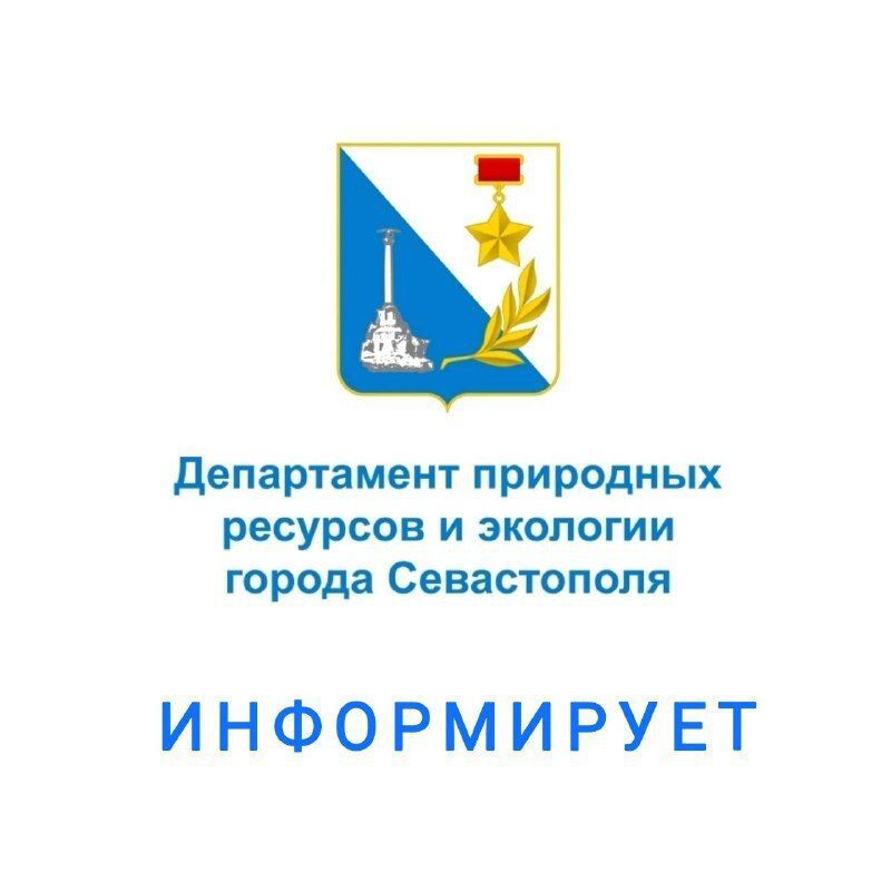 Хотите получить согласование по снижению выбросов в воздух? Теперь это можно сделать в любом отделении МФЦ Севастополя!