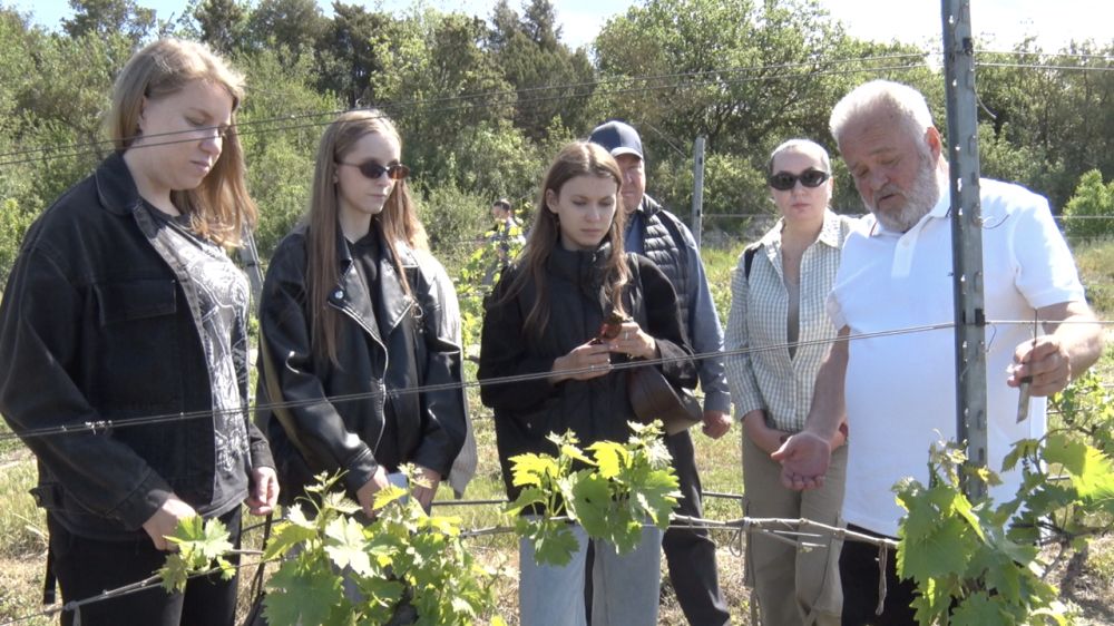 Студенты СевГУ постигают искусство виноделия