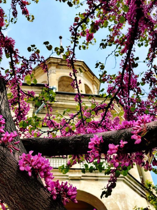 Николай Приставка: Дорогие севастопольцы! Сердечно поздравляю вас с праздником Вознесения Господня!