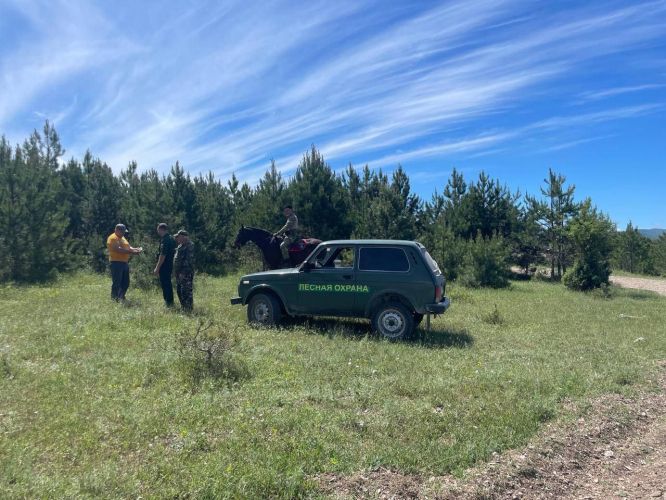 Севастопольское лесничество совместно с казаками провели рейд в лесу