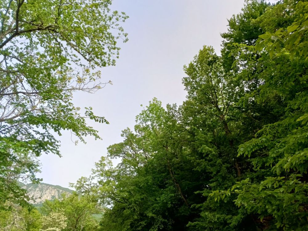 Прогноз погоды в Крыму на 30 мая