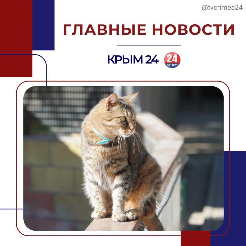 Последние события в режиме онлайн