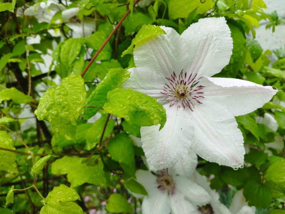 Прогноз погоды в Крыму на 1 июня