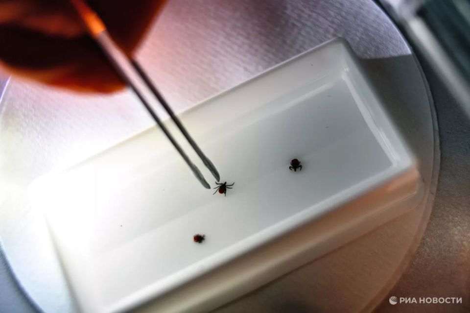 8 ������� ���������� ����������� � ������ ����