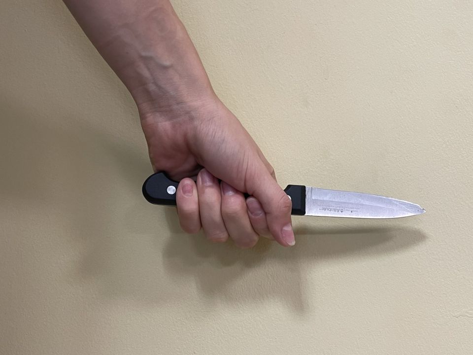 В Севастополе москвичке грозит срок за нападение с ножом на сожителя