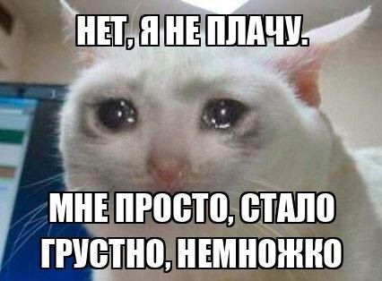 �� �������� ������������� �������� 3,5 ��� ������ ��-�� ����������