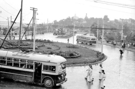   ( )  1951 
