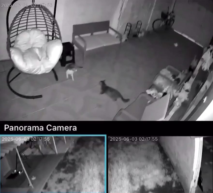 69 человек пострадали от землетрясения в Турции