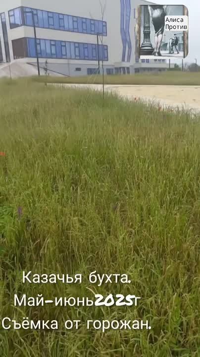  :        