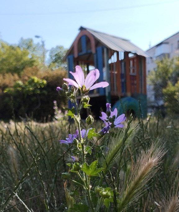 С добрым воскресным утром!