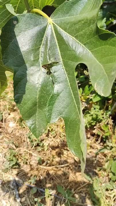 ����� � ����������� ��� �������� � ���� � ������