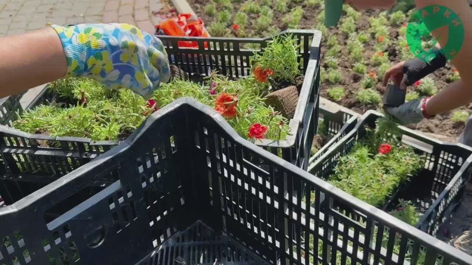 ����� �������� � ������� ���������� �������� ������ ��������