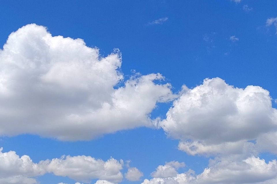 ������� ������ � ����� �� 13 ����
