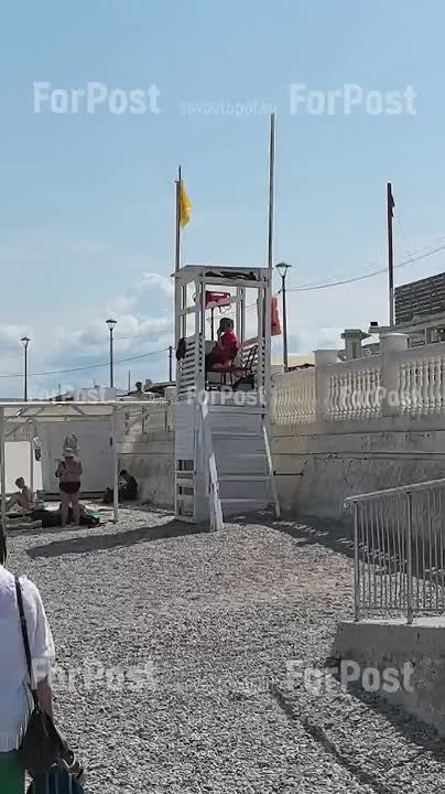 15       ,    