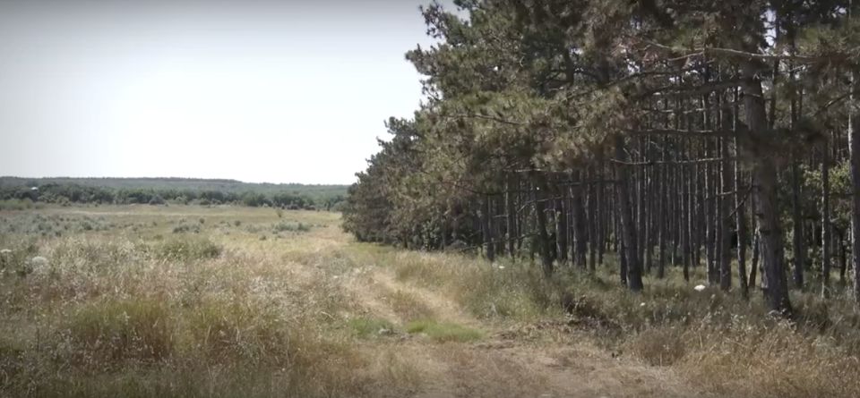 � ����������� ����� ������ ��������������� �����