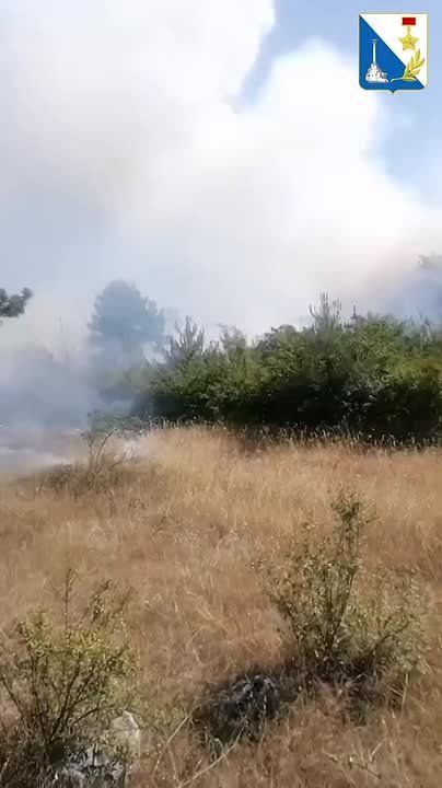 ��������������� ��������� ���� ����� ������ �������
