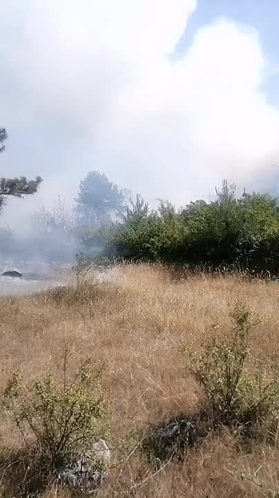 ����������� ���������������� ��������� ���������� ���������� � �����