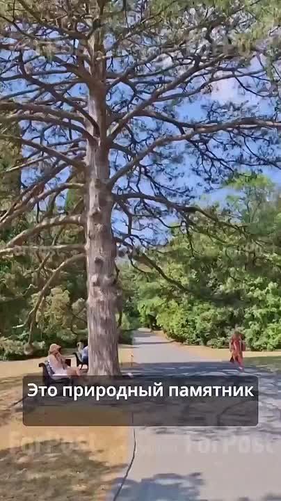    (    )       ForPost  